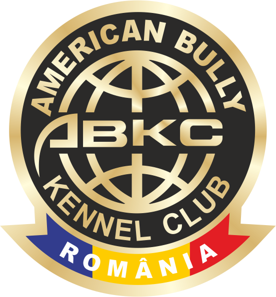 Favicon abkc.be