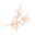 Favicon absilnutrition.be