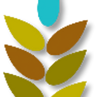 Favicon academievoorlevenskunst.be