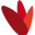 Favicon acelya.be