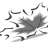 Favicon aceroconstruct.be