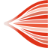 Favicon ageingmuscle.be