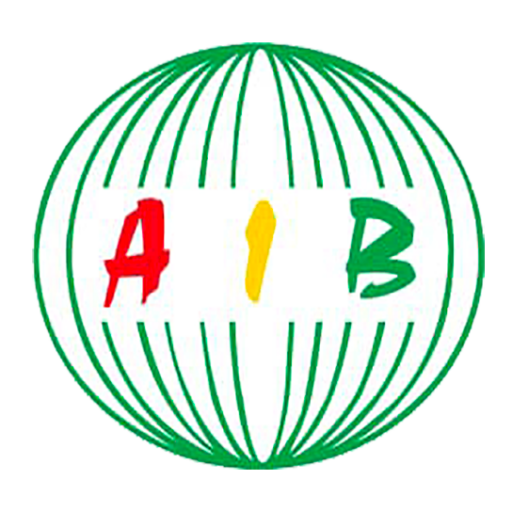 aib.bf