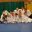 Favicon aikidowachtebeke.be
