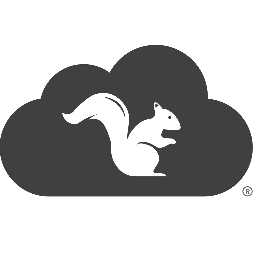 airsquirrels.com