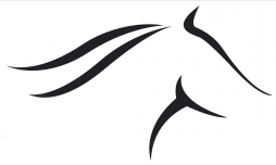 Favicon aleashop.be