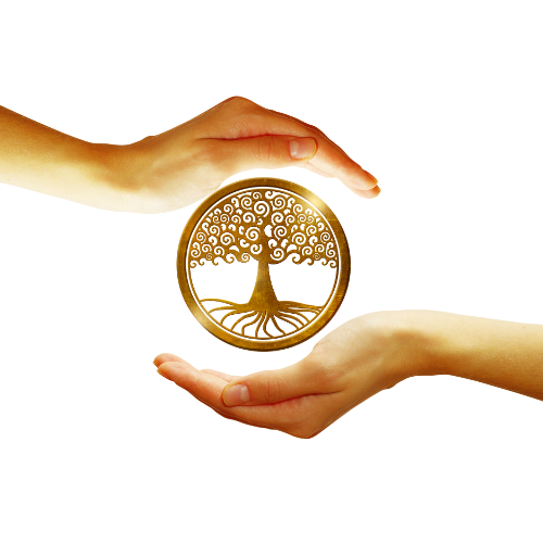 Favicon anick-servais.be