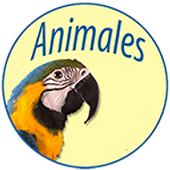 Favicon animales.be