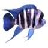 Favicon aquariumbouwer.nl