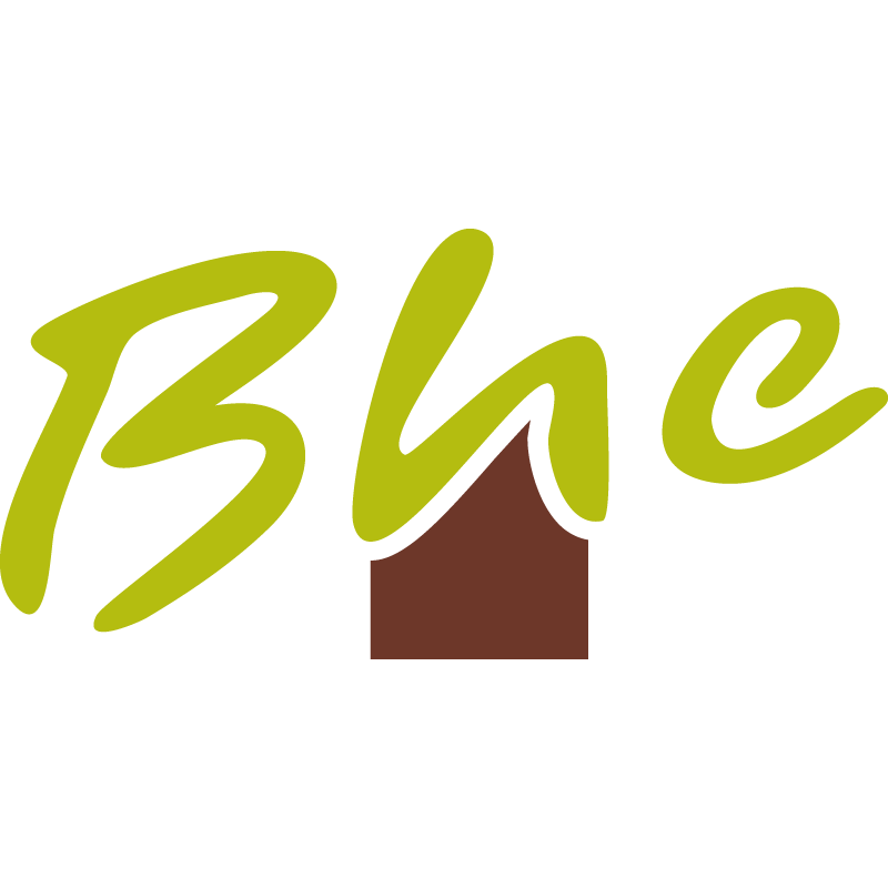 Favicon bhe.be