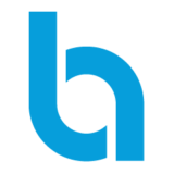 Favicon blauwnet.nl