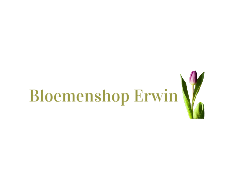 Favicon bloemenshoperwin.nl