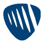 JBL Flip 6 Icon