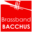 Favicon brassbandbacchus.be