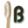 brushwithbamboo.com