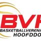 Favicon bvhoofddorp.nl