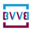 Favicon bvvb.nl