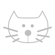 Favicon catcoachjulie.be