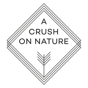 Favicon crush-on-nature.nl