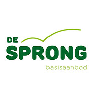 Favicon desprongkortrijk.be