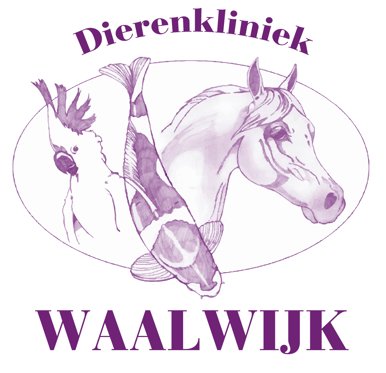 Favicon dierenkliniekwaalwijk.nl