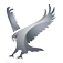 Favicon eaglesflightbenelux.nl