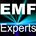 emf-experts.com