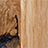 Favicon fromwood.nl