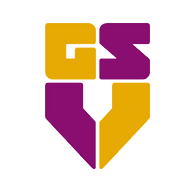 Favicon g-s-v.nl