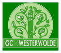 Favicon gcwesterwolde.nl