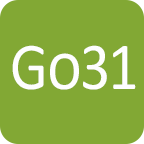 go31.ru