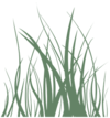 Favicon greenergrass.nl