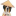 Favicon huisdierendokter.be