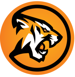 Favicon ilenesrecepten.nl