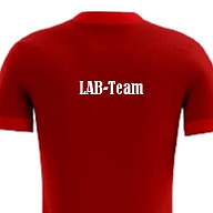 lab-team.com