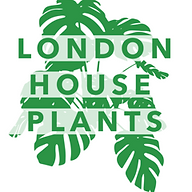 londonhouseplants.com