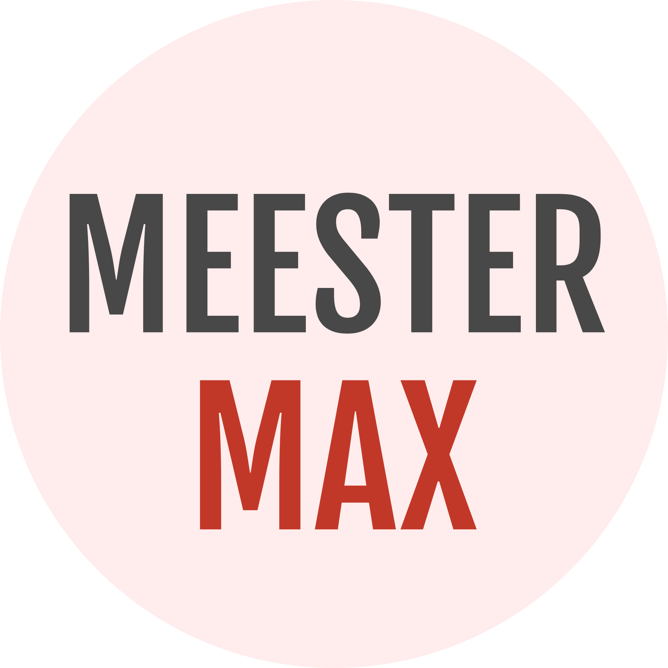 Favicon meestermax.nl