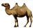 mongoliancamel.ru