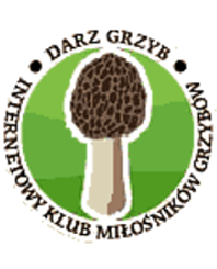 nagrzyby.pl