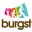 Favicon nbsburgst.nl