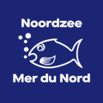 Favicon noordzeemerdunord.be