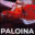 Favicon paloina.nl