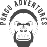 Favicon pongoadventures.nl