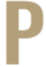 Favicon prinsautomobielen.nl