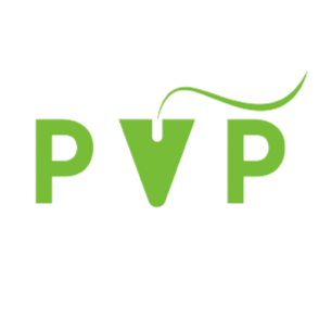 pvp-pc.com