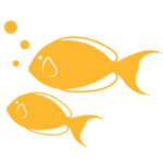 Favicon readytofish.nl