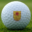 Favicon rotterdamsgolfopen.nl