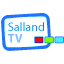 Favicon sallandtv.nl