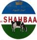 Favicon shahbaa.nl