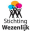 Favicon stichtingwezenlijk.nl